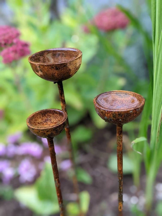 Small Rain Catcher Trio