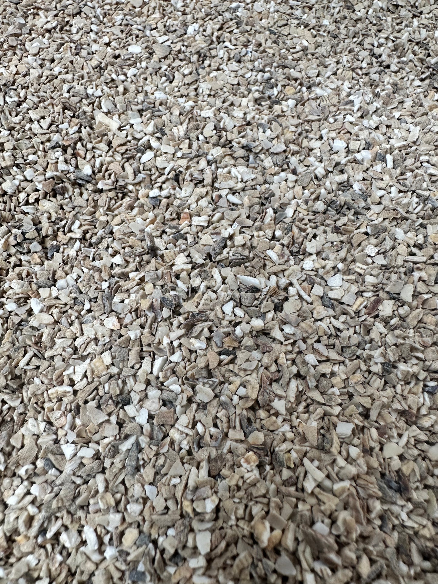 Crushed Sea Shells Fine 2kg