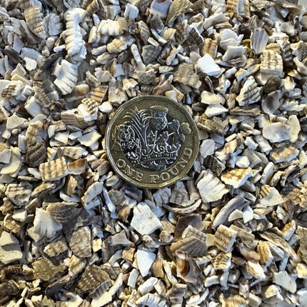 Crushed Sea Shells Large bag 10kg
