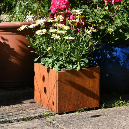 Rusty Square Plant Pot