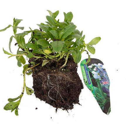 Premium Pond Starter Packs - Pond topup Packs - Oxygenating - Compost and Pots