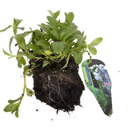 Premium Pond Starter Packs - Pond topup Packs - Oxygenating - Compost and Pots