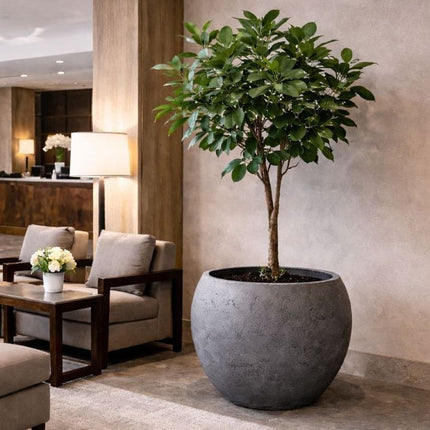 Orbello | Onyx Dusk – 70cm Extra Large Concrete Sphere Planter – 207L Round Plant Pot