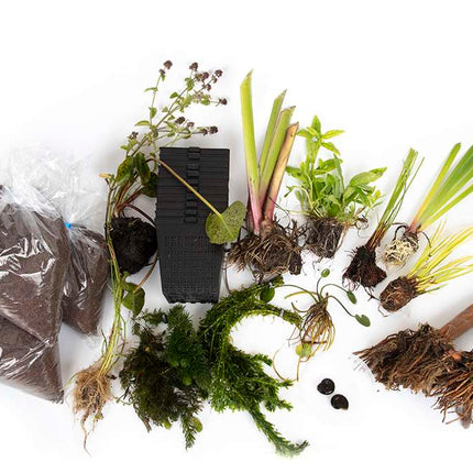 Pond Starter Packs - Pond topup Packs - Oxygenating - Compost and Pots Potted