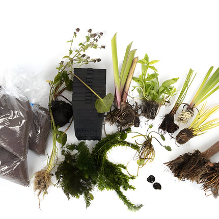 Pond Starter Packs - Pond topup Packs - Oxygenating - Compost and Pots Potted