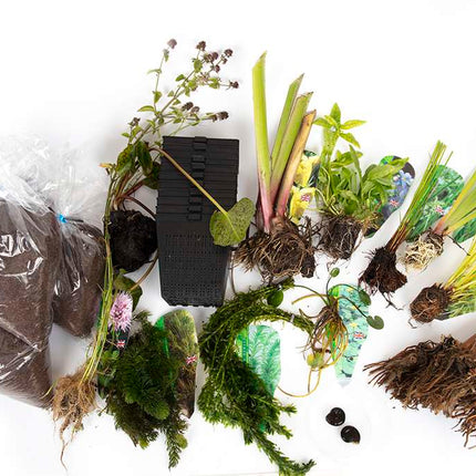 Pond Starter & top up Packs - Oxygenating - Compost and Pots