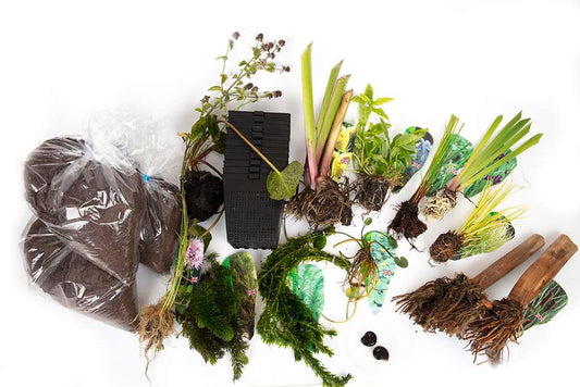Pond Starter & top up Packs - Oxygenating - Compost and Pots