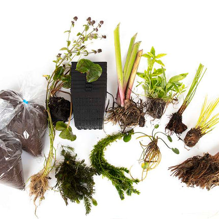 Pond Starter Packs - Pond topup Packs - Oxygenating - Compost and Pots Potted