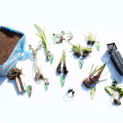 Pond Starter & top up Packs - Oxygenating - Compost and Pots