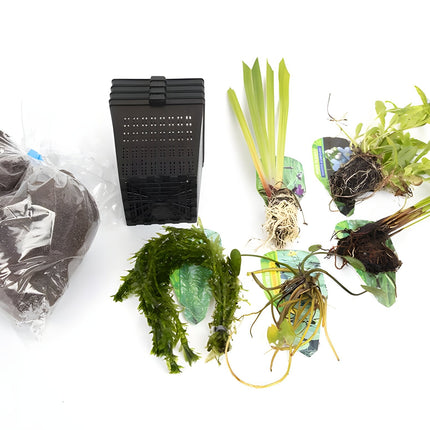 Pond Starter Packs - Pond topup Packs - Oxygenating - Compost and Pots Potted