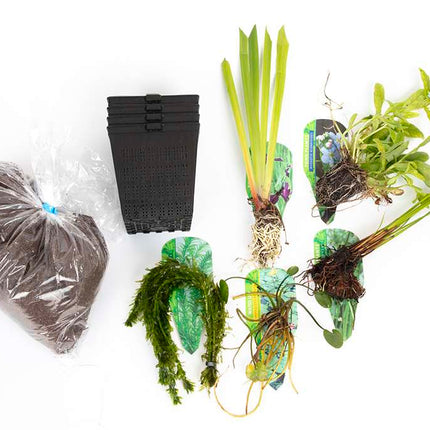 Pond Starter Packs - Pond topup Packs - Oxygenating - Compost and Pots Potted