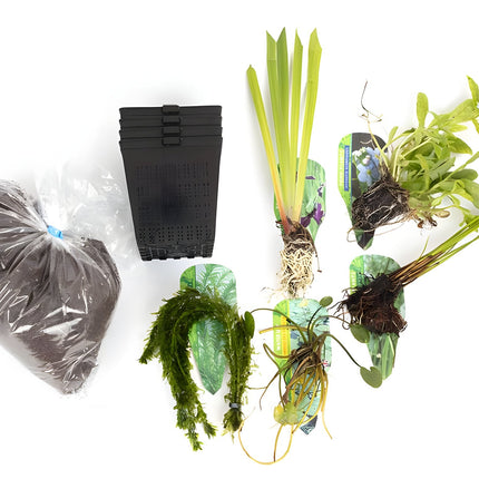 Pond Starter Packs - Pond topup Packs - Oxygenating - Compost and Pots Potted