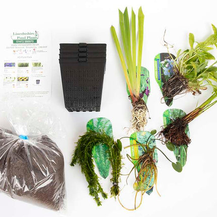 Pond Starter Packs - Pond topup Packs - Oxygenating - Compost and Pots Potted