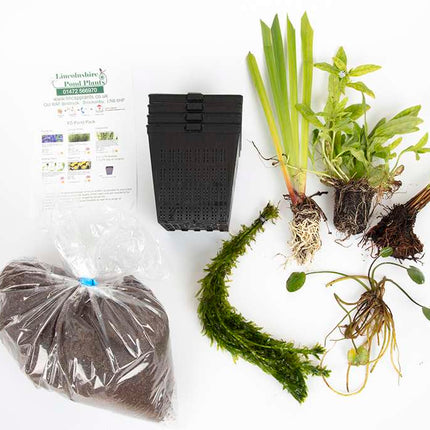 Pond Starter Packs - Pond topup Packs - Oxygenating - Compost and Pots Potted