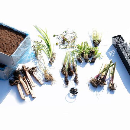 Pond Starter Packs - Pond topup Packs - Oxygenating - Compost and Pots Potted
