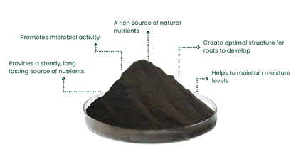 Revive Peat Free Soil Improver | 1000 Litres