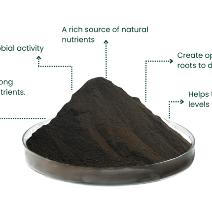 Peat Free Soil Improver and Mulch | 1000 Litres