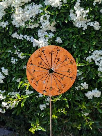 Allium Burst