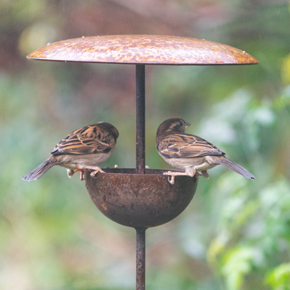 Rusty Metal Bird Feeding Stake
