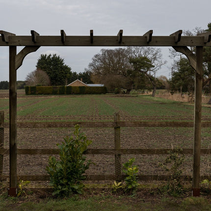 Sculpted Double Beam Pergola, Plant Climbing Arbour - Sculpted brace