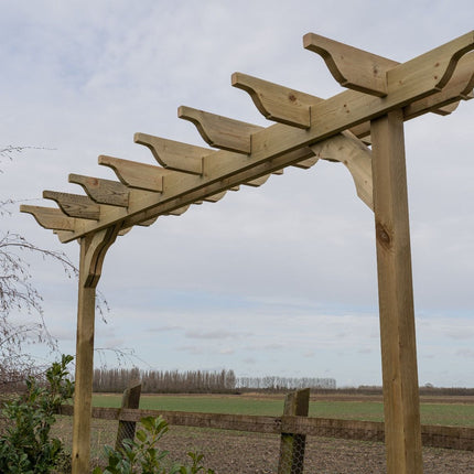 Sculpted Double Beam Pergola, Plant Climbing Arbour - Sculpted brace