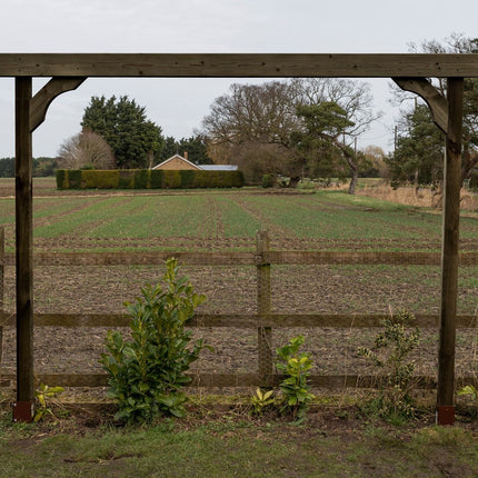 Screen Double Beam Pergola, Plant Climbing Arbour - Sculpted Brace
